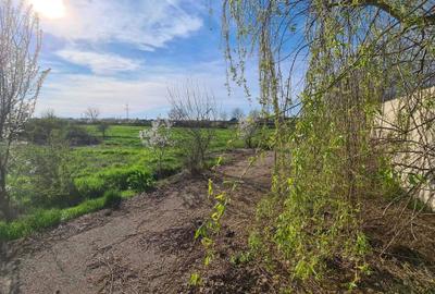 Teren de 1214 mp, în Cornetu - 6