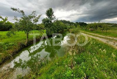 COMISION 0- Casa cu 4000 mp teren piscina zona retrasa Casolt - 7