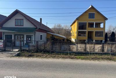 Casă cu 9 camere cu Teren 1575 Mp în Borșa - 7