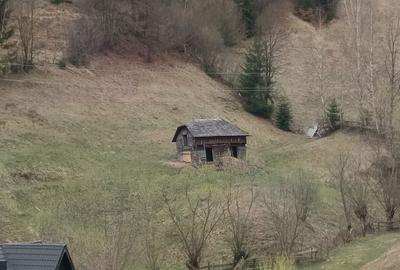 Teren de 3950 mp, în Podu Dâmboviței - 4
