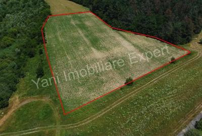 Teren de vanzare in comuna Baicule?ti, Judet Arge?. - 9