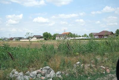 TARTASESTI - Str. Giurgiului, 20.000 mp. teren din care 12.500 in INTRAVILAN - 1