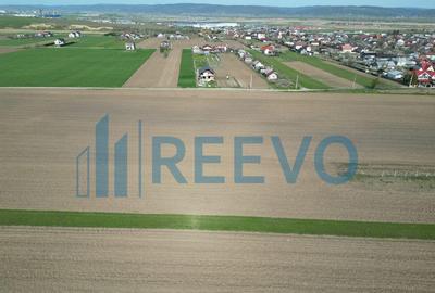 Teren de vanzare, Com. Nicolae Balcescu, Jud. Bacau - 15