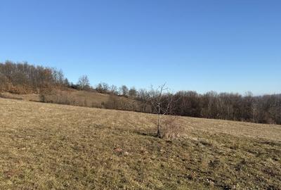 Spațiu comercial, în Șuncuiș - 1