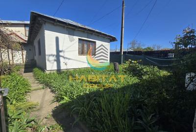 Casă individuală cu 3 camere cu Canalizare în Dărăști-Vlașca - 3