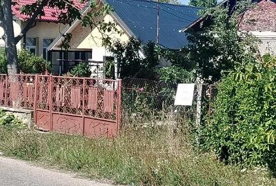 Casă cu Teren 2157 Mp în Brăteasca - 3