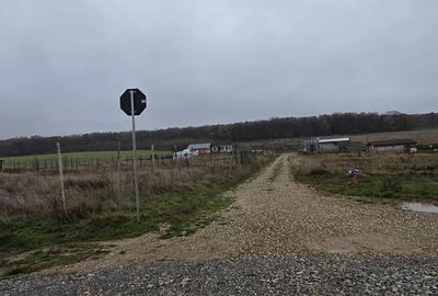 Spațiu comercial, în Chișirid