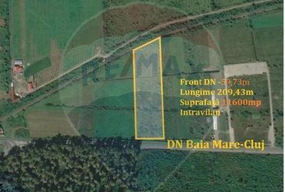 Teren de vanzare industrial Lapusel - 1