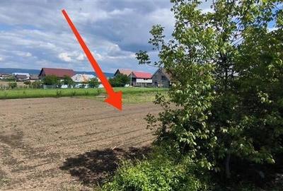 Teren intravilan de vanzare Luizi Calugara - 2