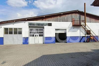 Spatiu industrial de 300 mp de inchiriat in Sebes Alba