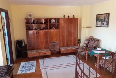 De vanzare casa mare , zona Brancoveanu, suprafata utile 350 mp - 24