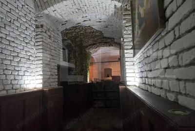 Spa?iu Comercial 313 mp, Ultracentral, pretabil ptr restaurant, club Spa?iu Comercial 313 mp, Ultracentral, pretabil ptr restaurant, club - 6