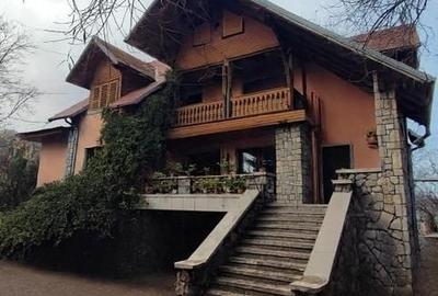 Pet Friendly, Vedere Padure, 5000mp teren, D+P+1E+M, semineu, foisor - 35