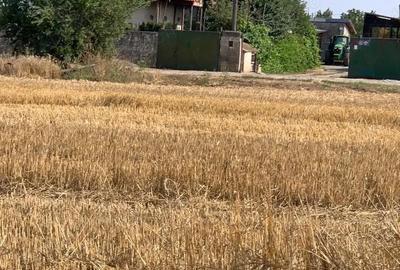 Teren de 460 mp, în Poiana - 4