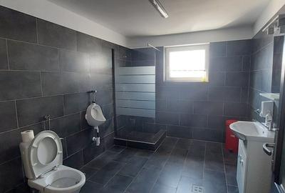 Imobilstar inchiriaza hale cu pod rulant - 5