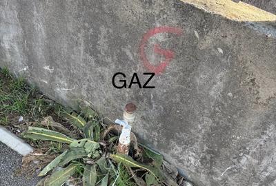 PROPRIETAR - Vand teren + casa comuna Dascalu - 6