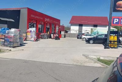Casă cu 3 camere cu Teren 8900 Mp în Argetoaia - 4