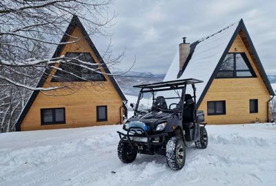 Casă cu 4 camere cu Teren 1700 Mp în Meziad - 6