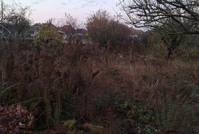 Casă cu 4 camere cu Teren 1440 Mp în Central - 1