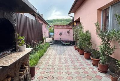 Casă cu 3 camere cu Teren 195 Mp în Mediaș - 5