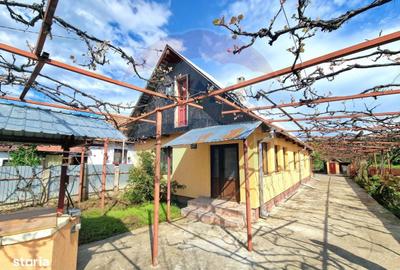 Casă cu 3 camere în Lupești - 1