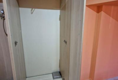 Apartament cu 4 camere semidecomandat în Pantelimon - 13
