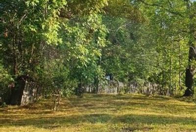 Teren Construcții intravilan de 4972 mp, în Bertea - 8