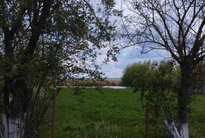 SUPER OCAZIE SE VINDE TEREN LA CEL MAI MIC PRET LA DELTA NEAJLOVULUI BUDENI GR - 4