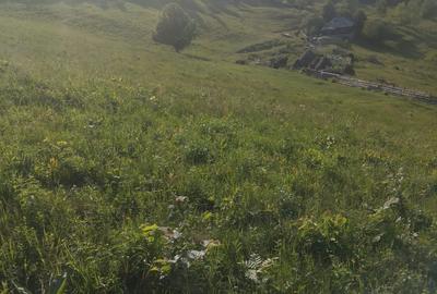 Spațiu comercial, în Vale - 2