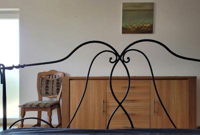 Techirghiol-vila deosebita D+P+1+M - 42