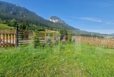 Teren Plaiul Foii, vedere spre muntii Bucegi si apa Barsa 10 - 10