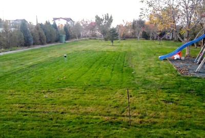 Casa la curte de inchiriat | 4 camere | Snagov | 5' lac - 11