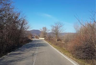Teren de 40000 mp, în Balotești - 3