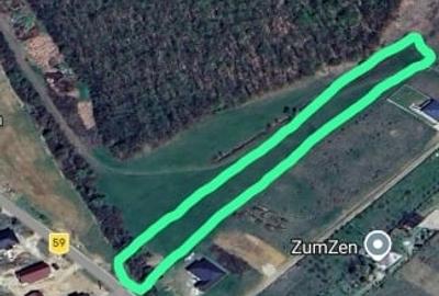 Teren Construcții intravilan de 3444 mp, în Betfia - 3