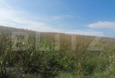 Teren de 3000 mp, în Miroslava