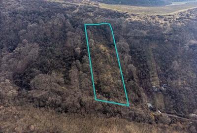 Teren in Ghioroc pe deal - 1