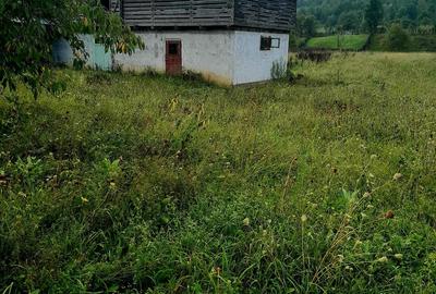 Casa + teren sat Sulta, com Agas, Jud Bacau - 5