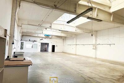 Hala industriala 431 mp de inchiriat central Arad, acces TIR - 3
