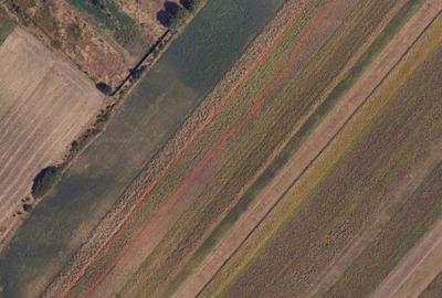 Spațiu comercial, în Cătămărești - 1