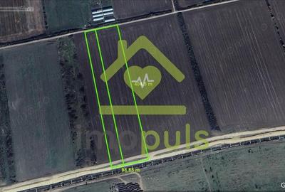 Teren de 40000 mp, în Ghiroda - 4