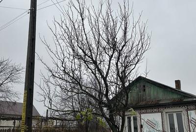 Spațiu comercial, în Siliștea - 3