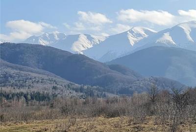 Teren intravilan 2500mp  pe Valea Avrigului,optim casa de vacanta - 13