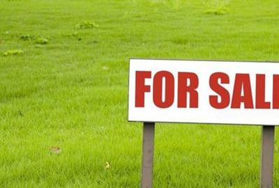 Teren extravilan, zona Horodnic-Killer, 5200mp - 1