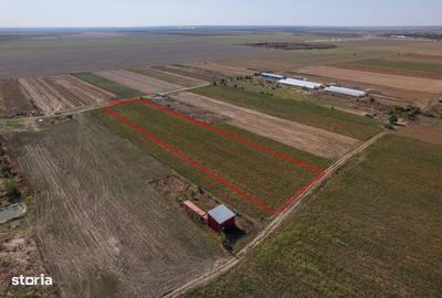 Spațiu comercial, în Adunații-Copăceni - 5