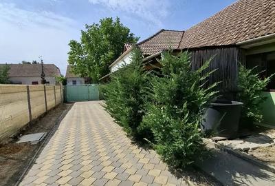 Sanandrei Central Casa 4 Camere - 18