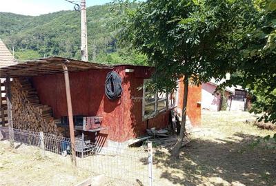 Anina, Sigismund, Casa 4 Incaperi, 1439mp Teren, ZERO Comisi - 2