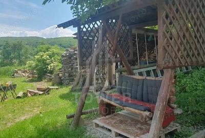 Casa Saseasca de vanzare in Somartin / Comision O % - 16