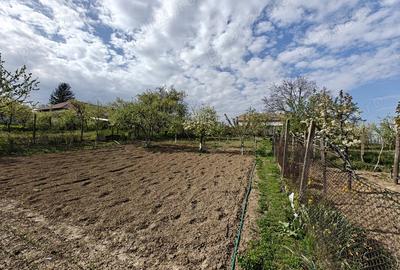 Casa si teren Faraoani la 15 min de Bacau - 8