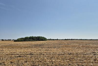 Teren Construcții intravilan de 4428 mp, în Balotești