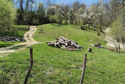 Teren de 3800 mp, în Slatina - 5